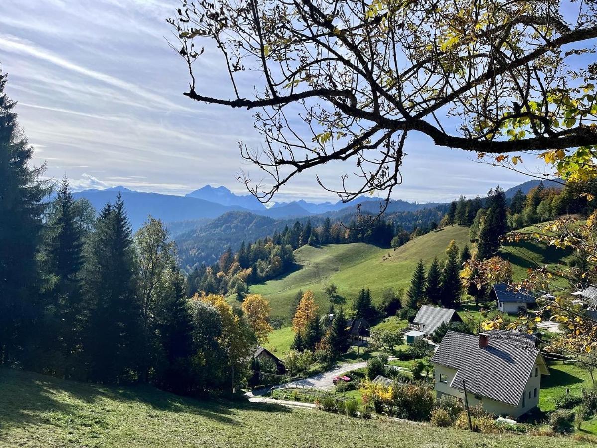Apartments Pri Fencu Jesenice Eksteriør bilde