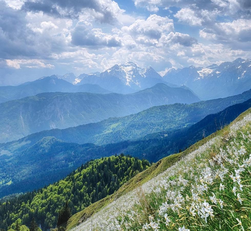 Apartments Pri Fencu Jesenice Eksteriør bilde