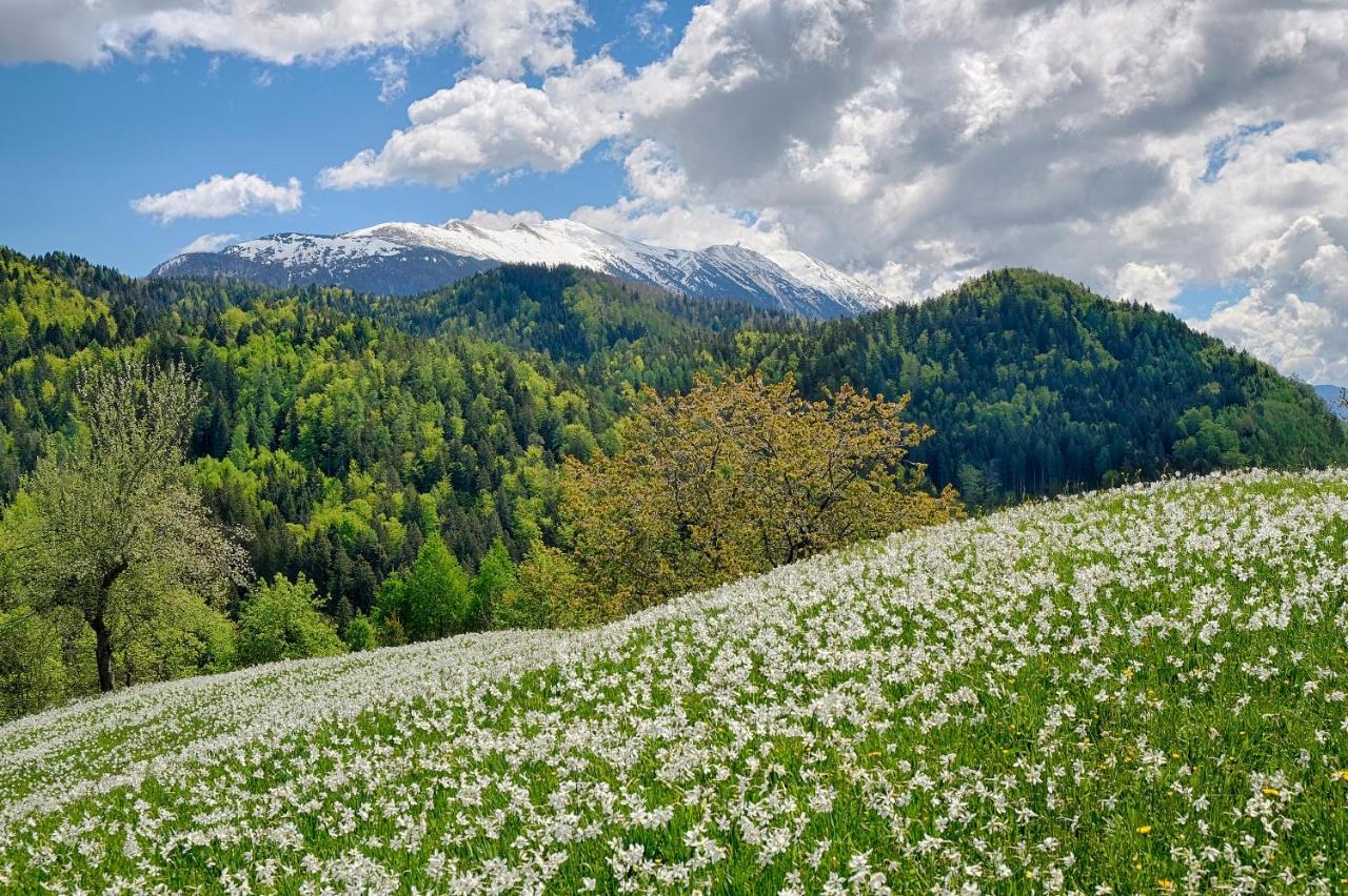 Apartments Pri Fencu Jesenice Eksteriør bilde