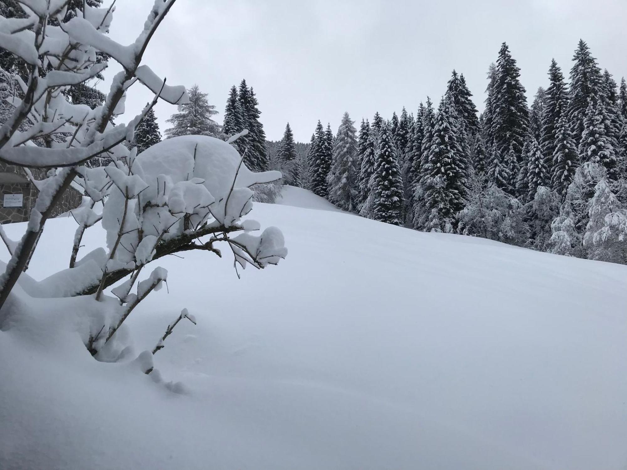 Apartments Pri Fencu Jesenice Eksteriør bilde