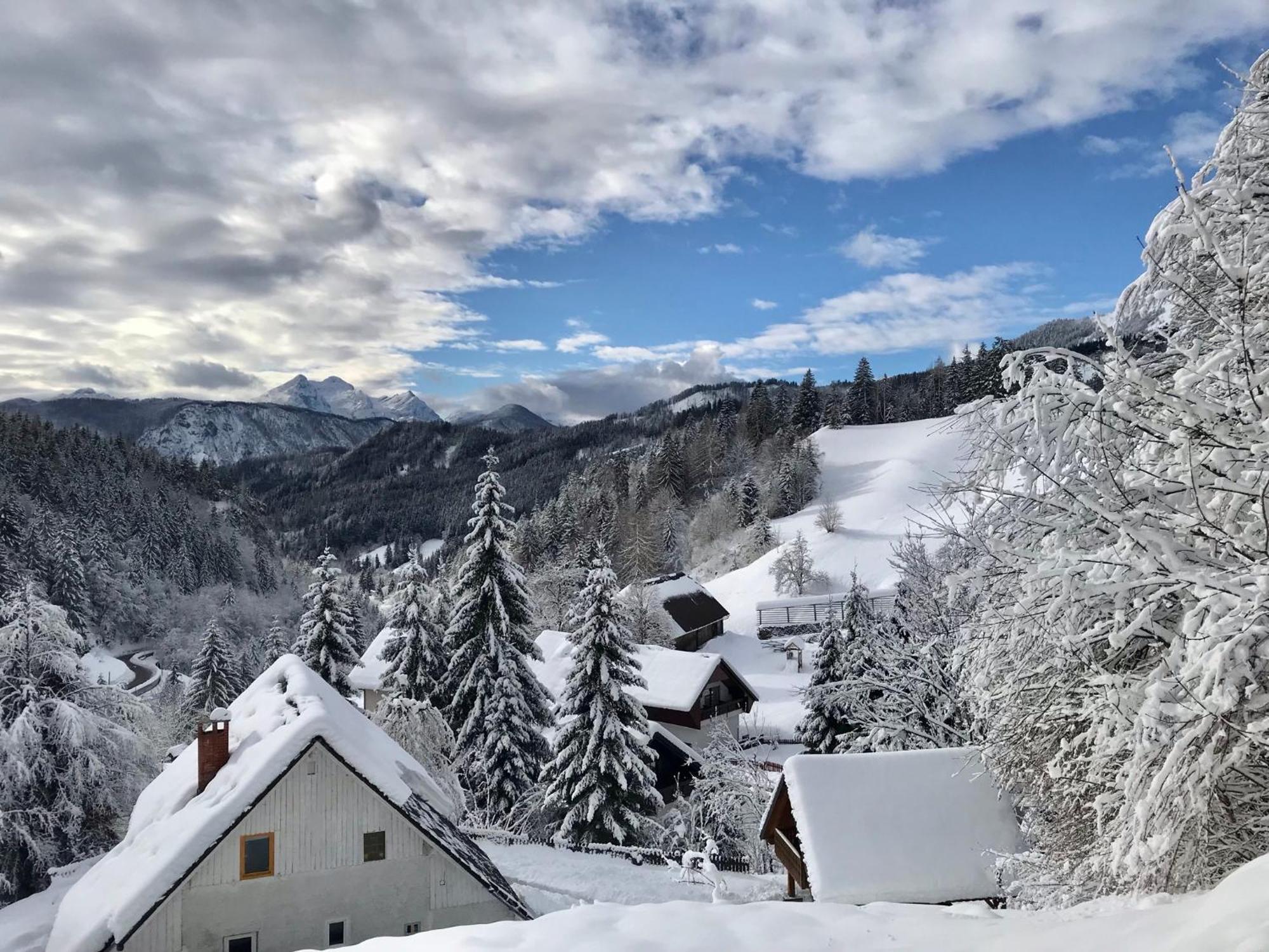 Apartments Pri Fencu Jesenice Eksteriør bilde